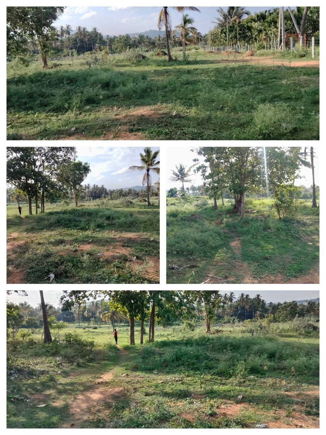 5 Acre agriculture land for sale near Kanakapura Bangalore