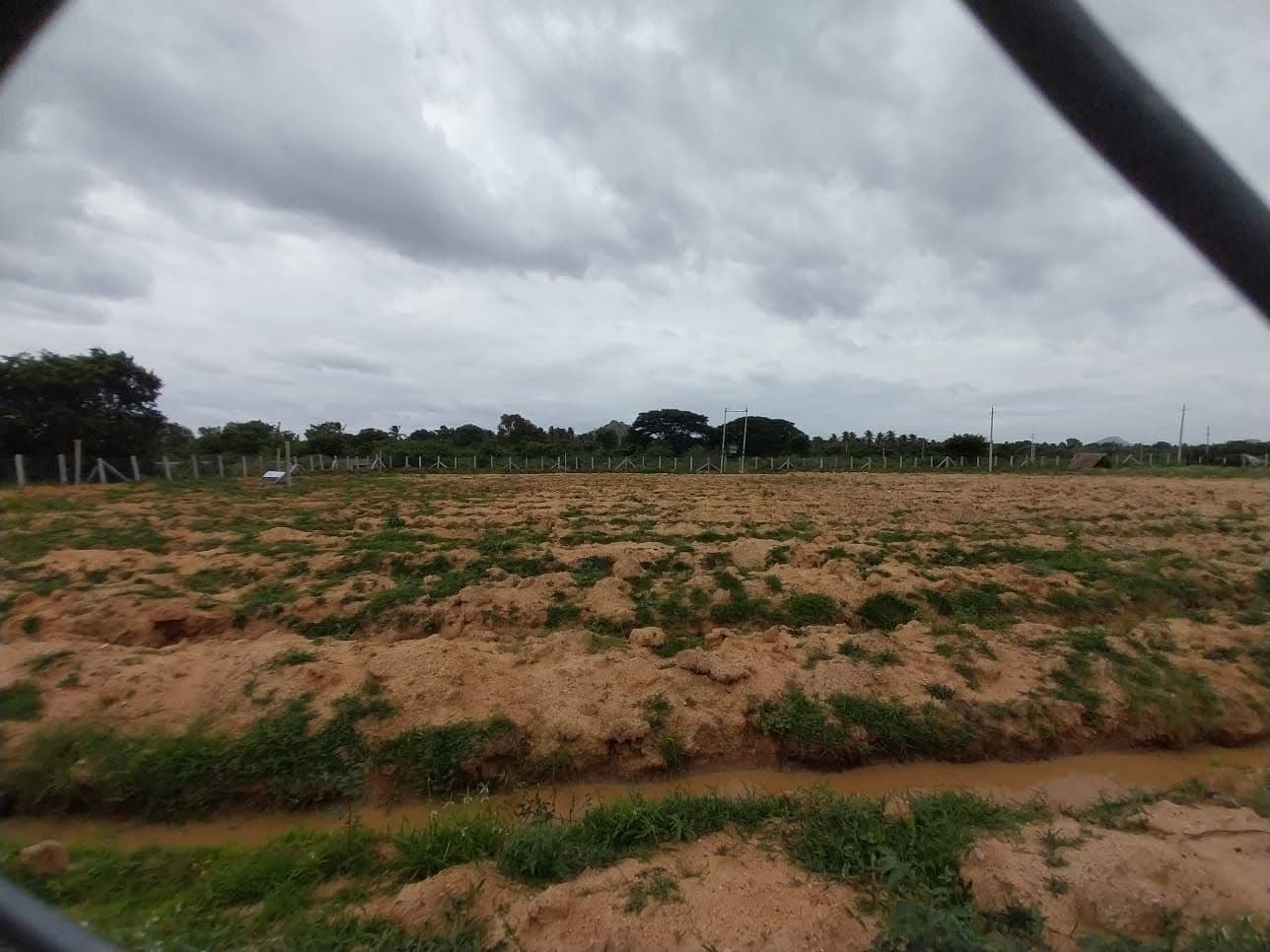 1.5 Acre land for sale in koratage taluk, tumkur district