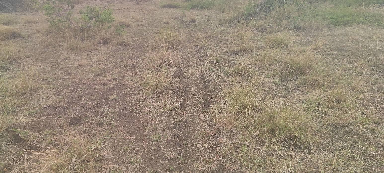 6.5 Acre land open land for sale