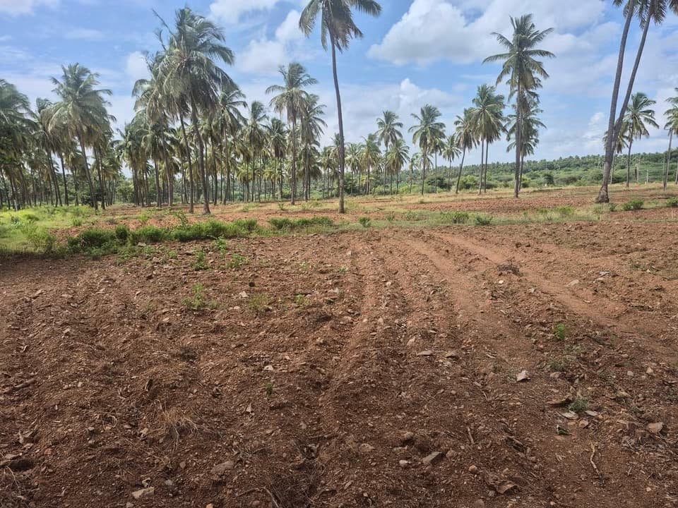 5 Acre Agriclutural Land Near Hiriyur