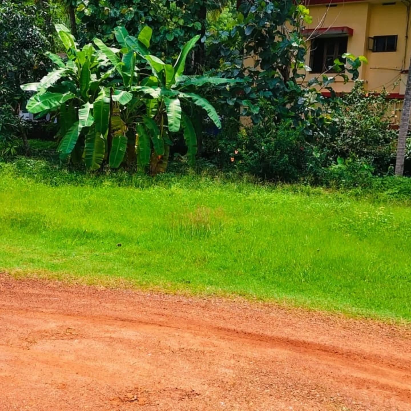 10 Cents Property with 2 BHK RCC House for Sale – Near Virajpet, Kodagu (Coorg)