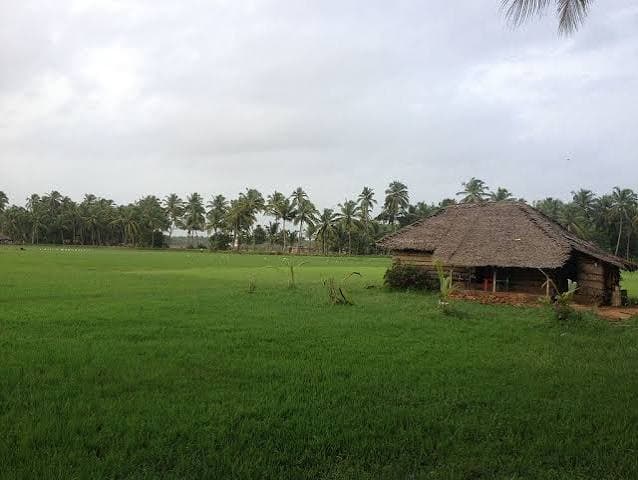 4.07 Acres of Premium Agricultural Land for Sale Near Kaup A beautiful and well-maintained