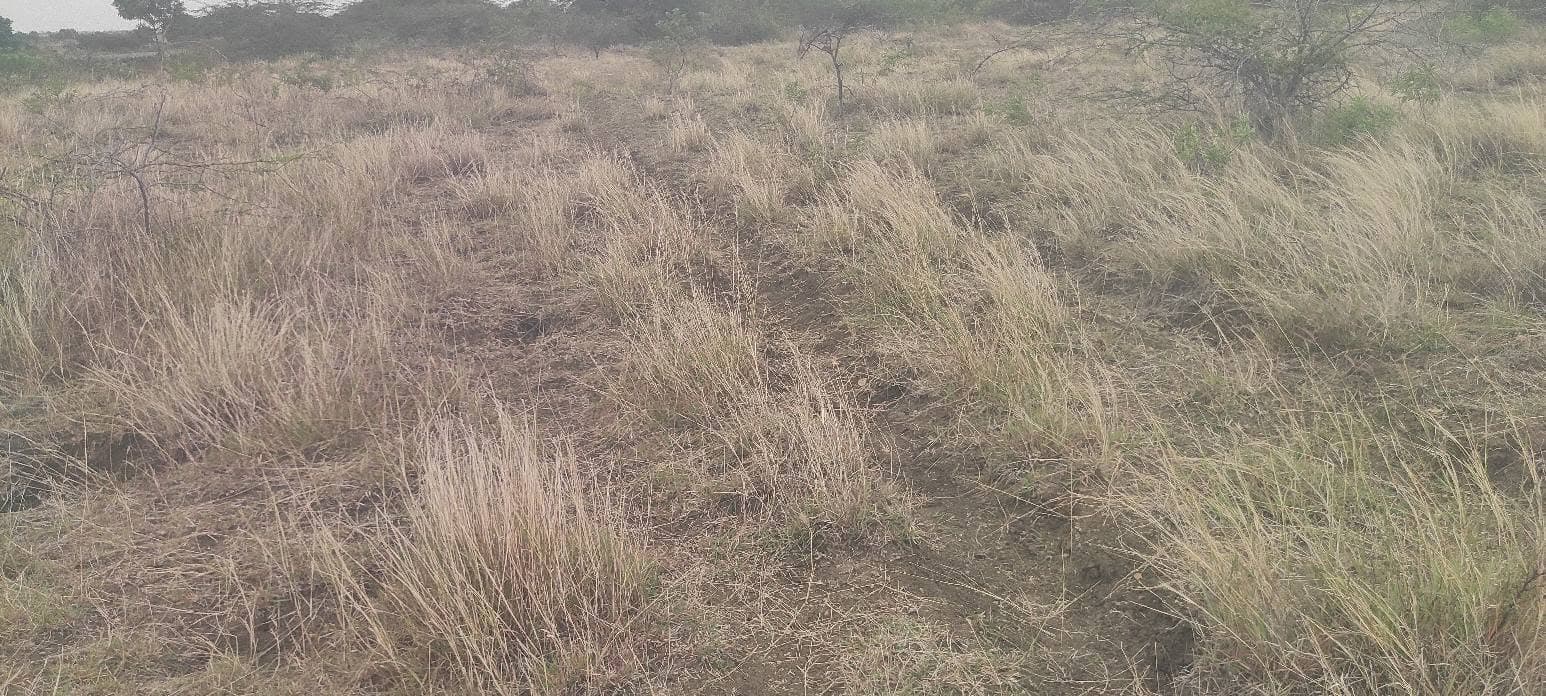 1 Acre Empty land for Lease, Long term, Tumkur District